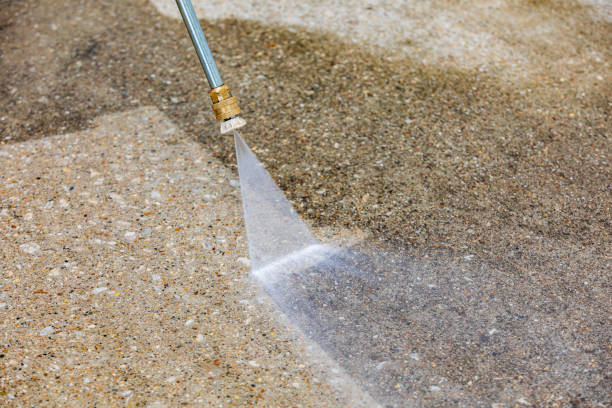 Best Roof Cleaning and Mildew Removal in Marinette, WI